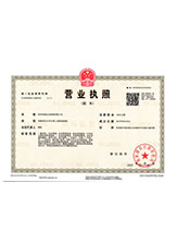 隆安营业执照副本